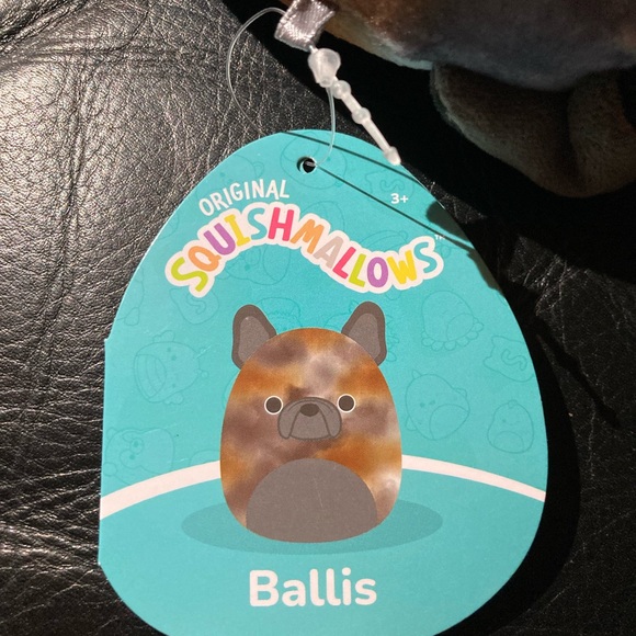 Ballis Frenchie Dog Squishmallow - Picture 4 of 4